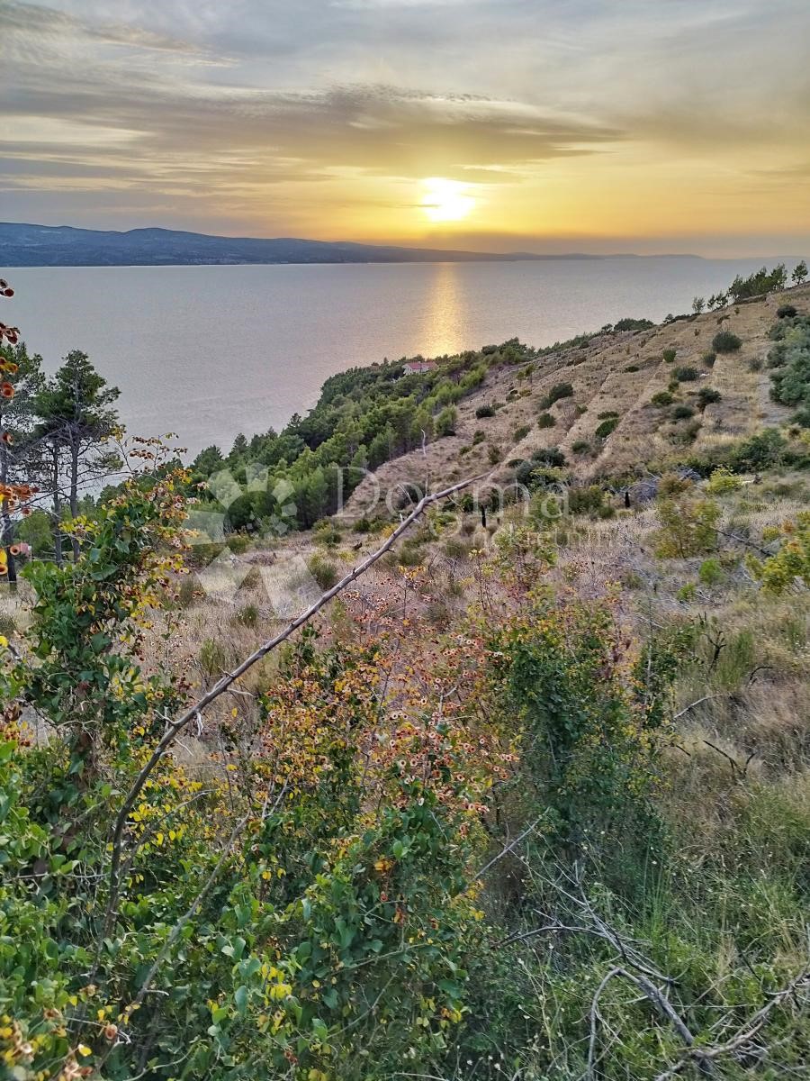 STANIĆI