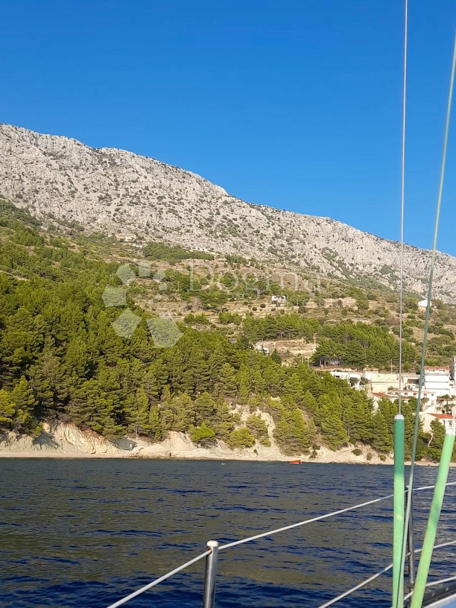 STANIĆI