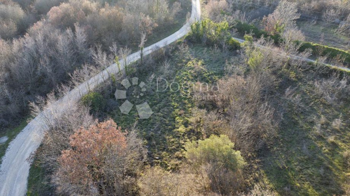 KANFANAR