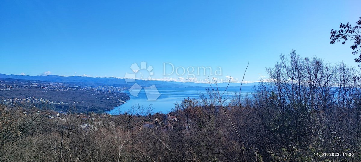 MIHOTIĆI