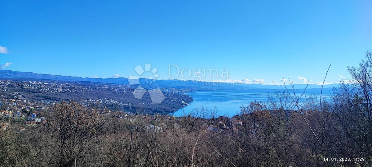 MIHOTIĆI