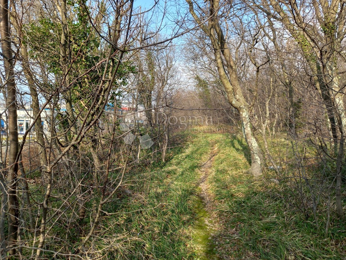 KRALJEVICA
