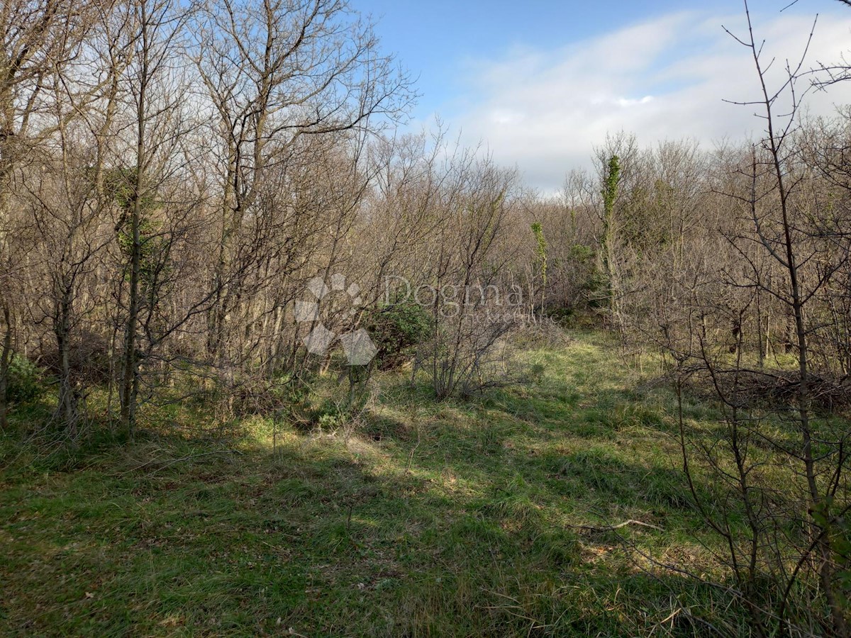 KRALJEVICA