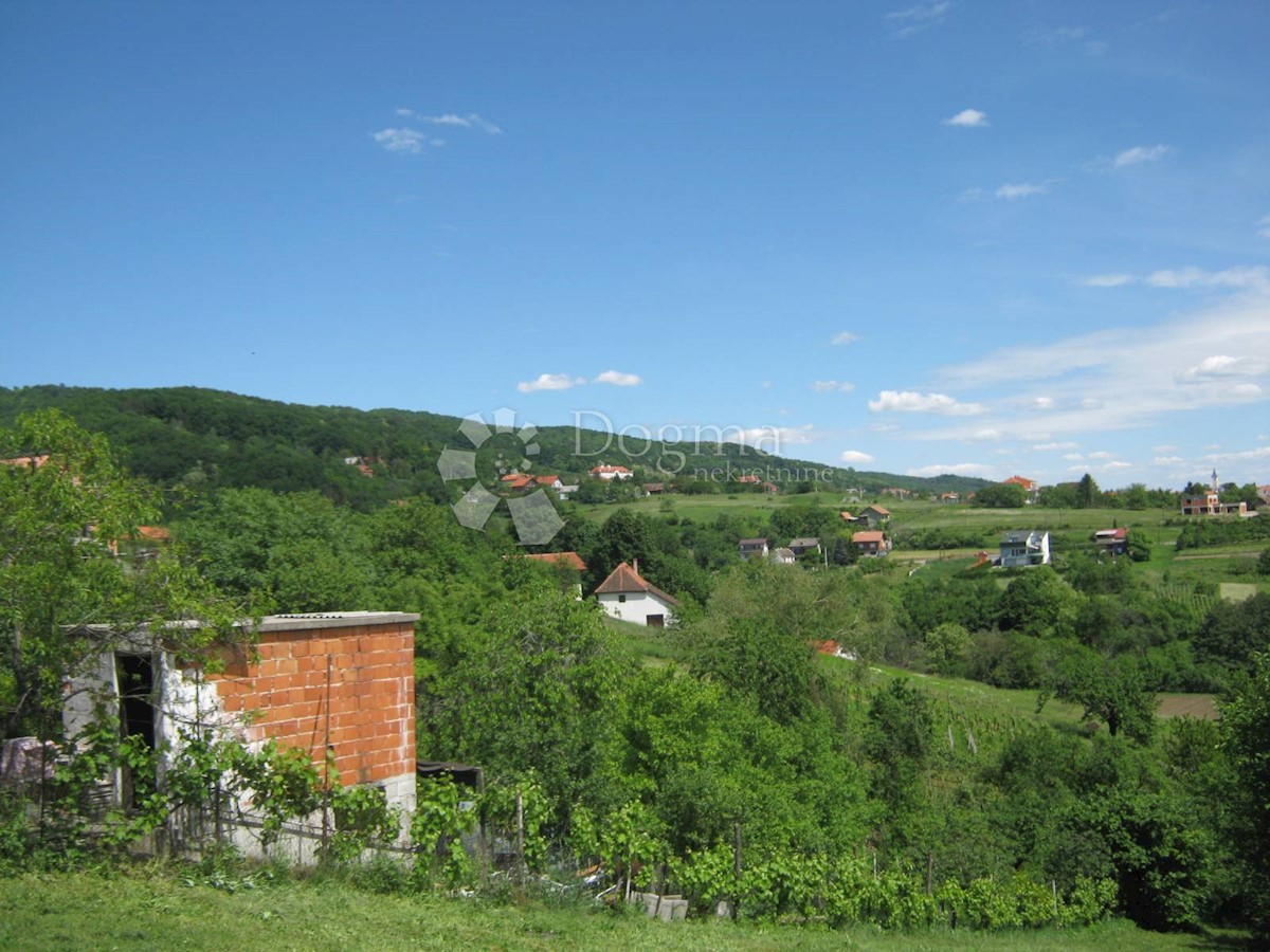 MIKULIĆI