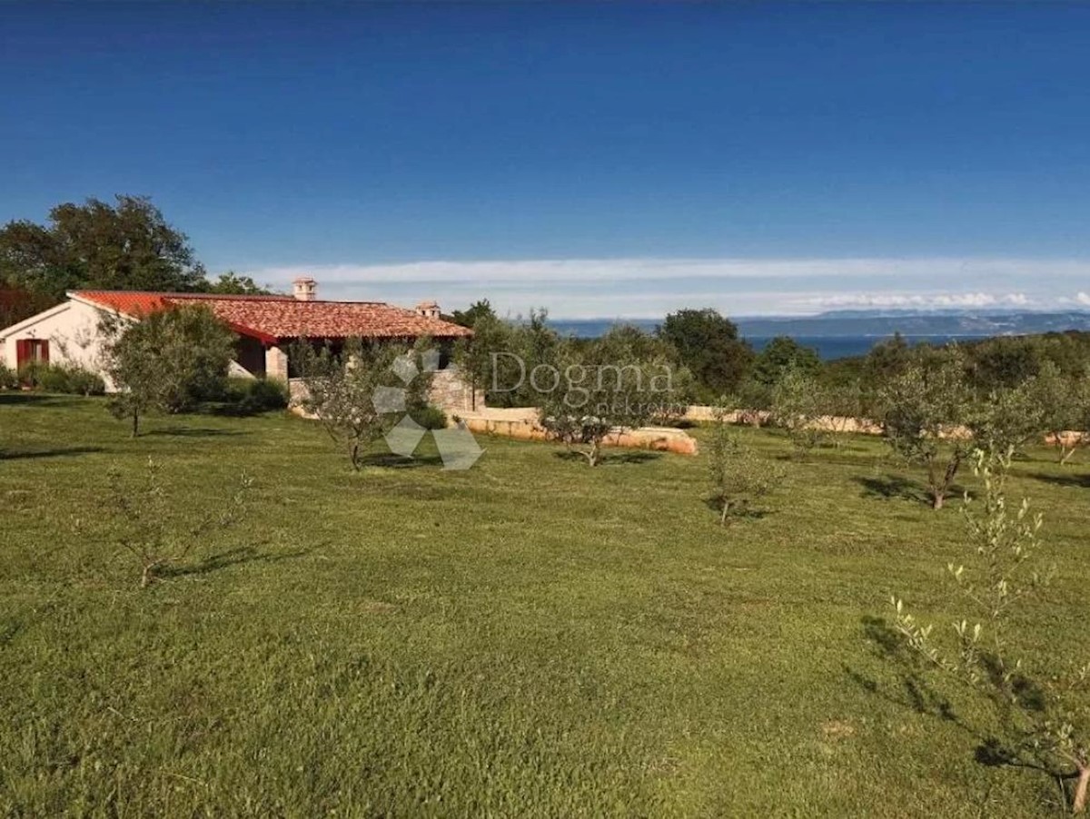 PERUŠKI