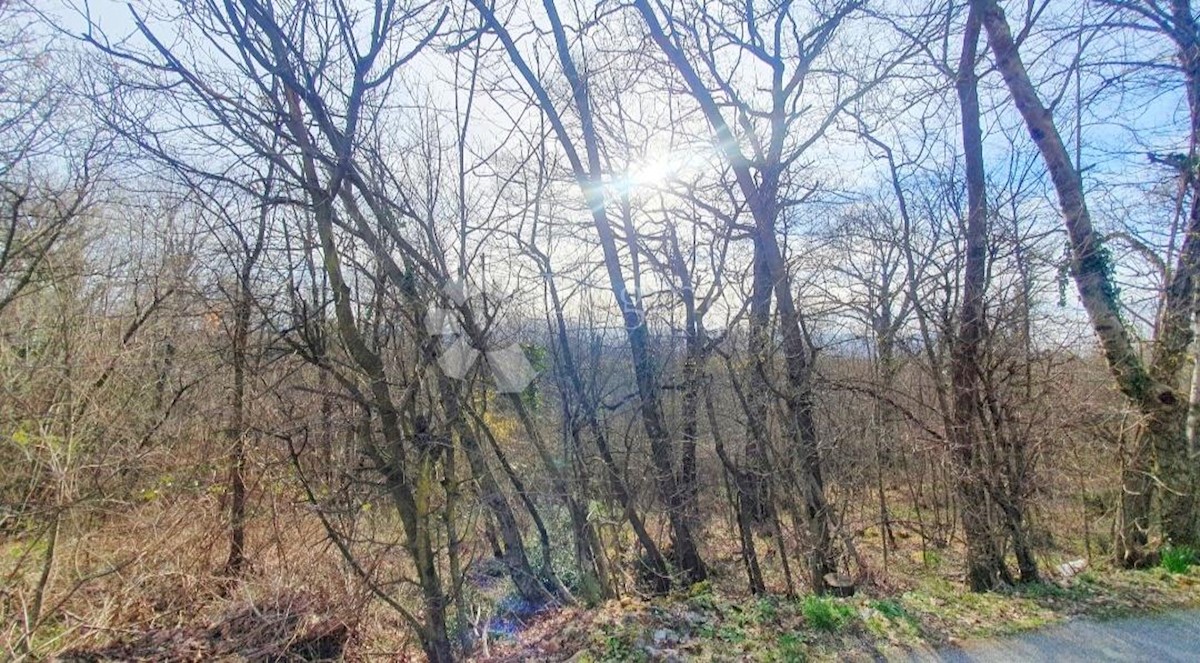 SARŠONI