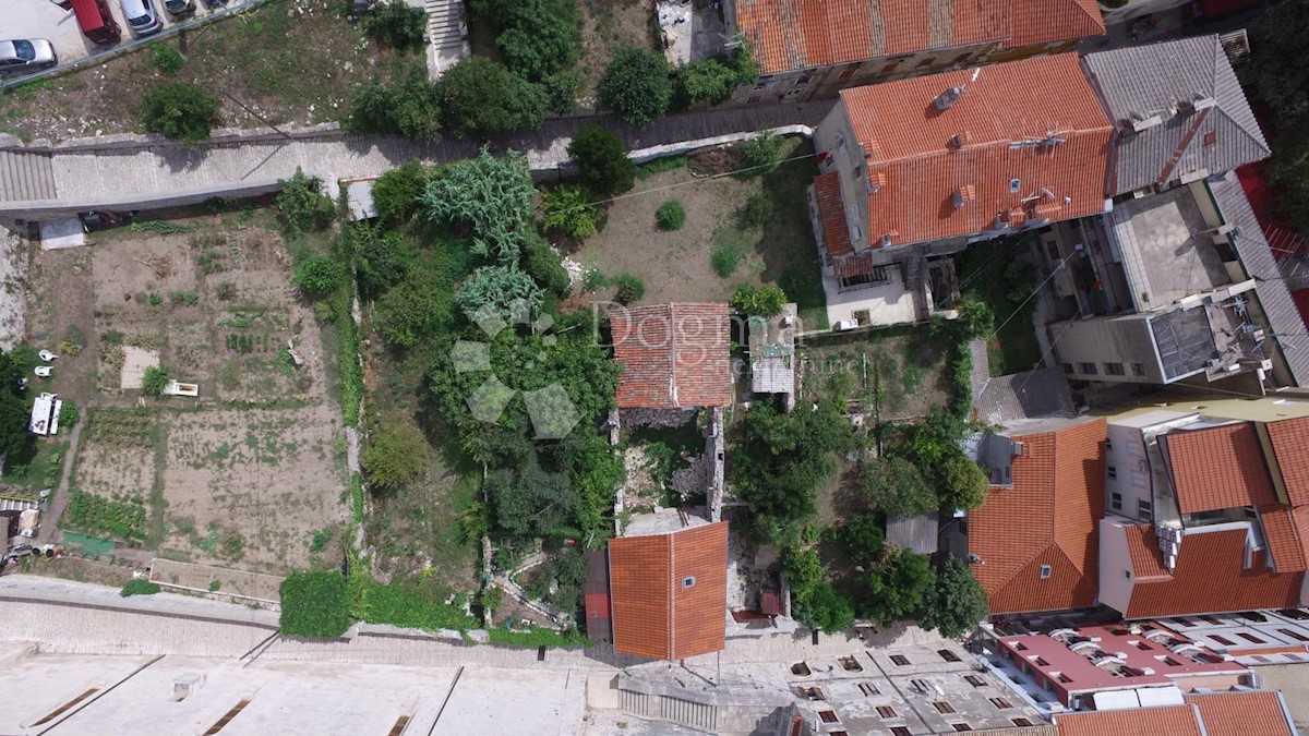 PULA