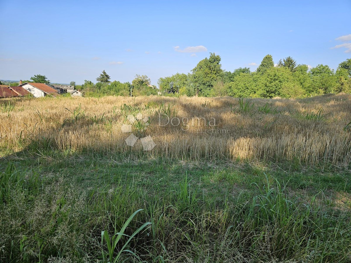BERETINEC