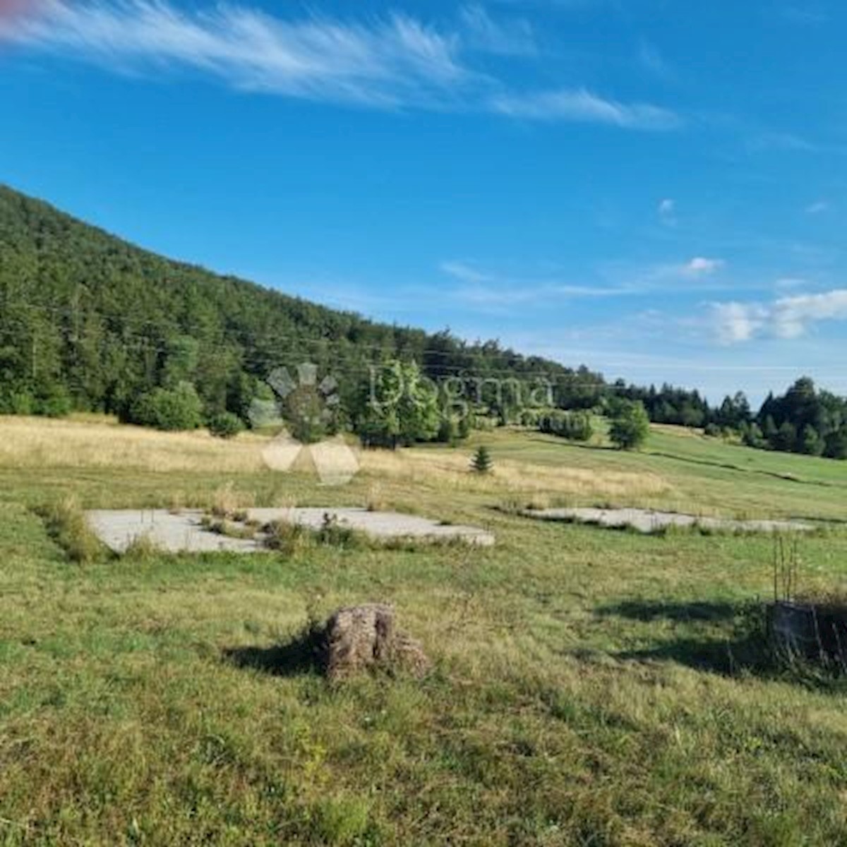 MRKOPALJ