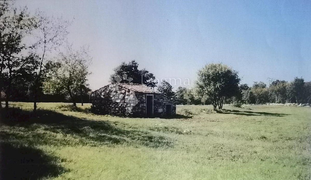 ŽBANDAJ