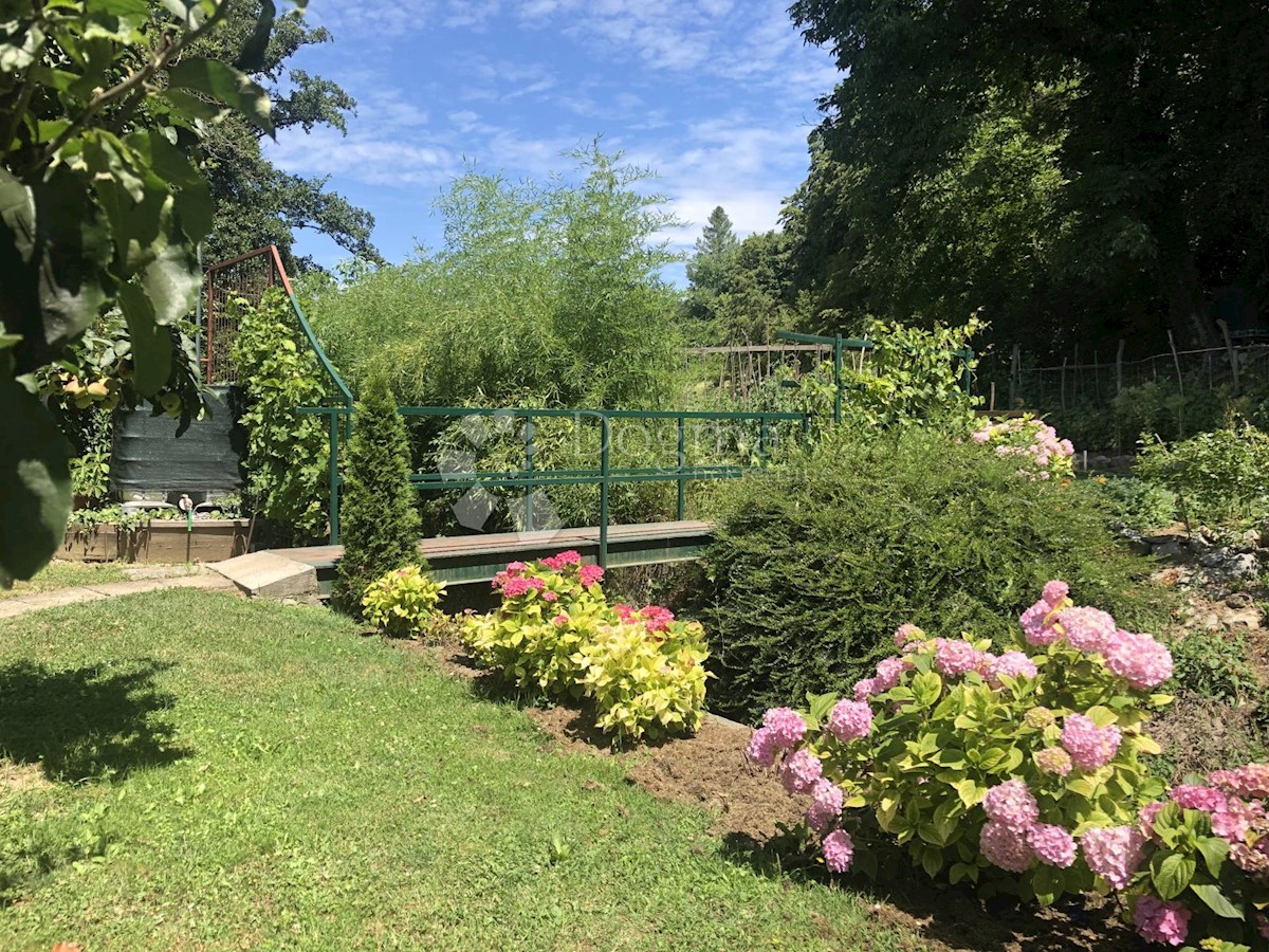 ČUČERJE