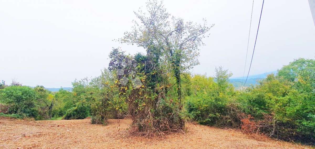 PIĆAN