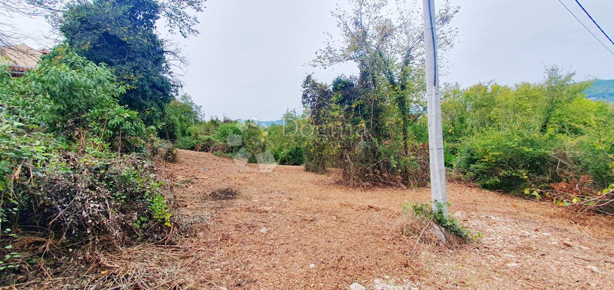 PIĆAN