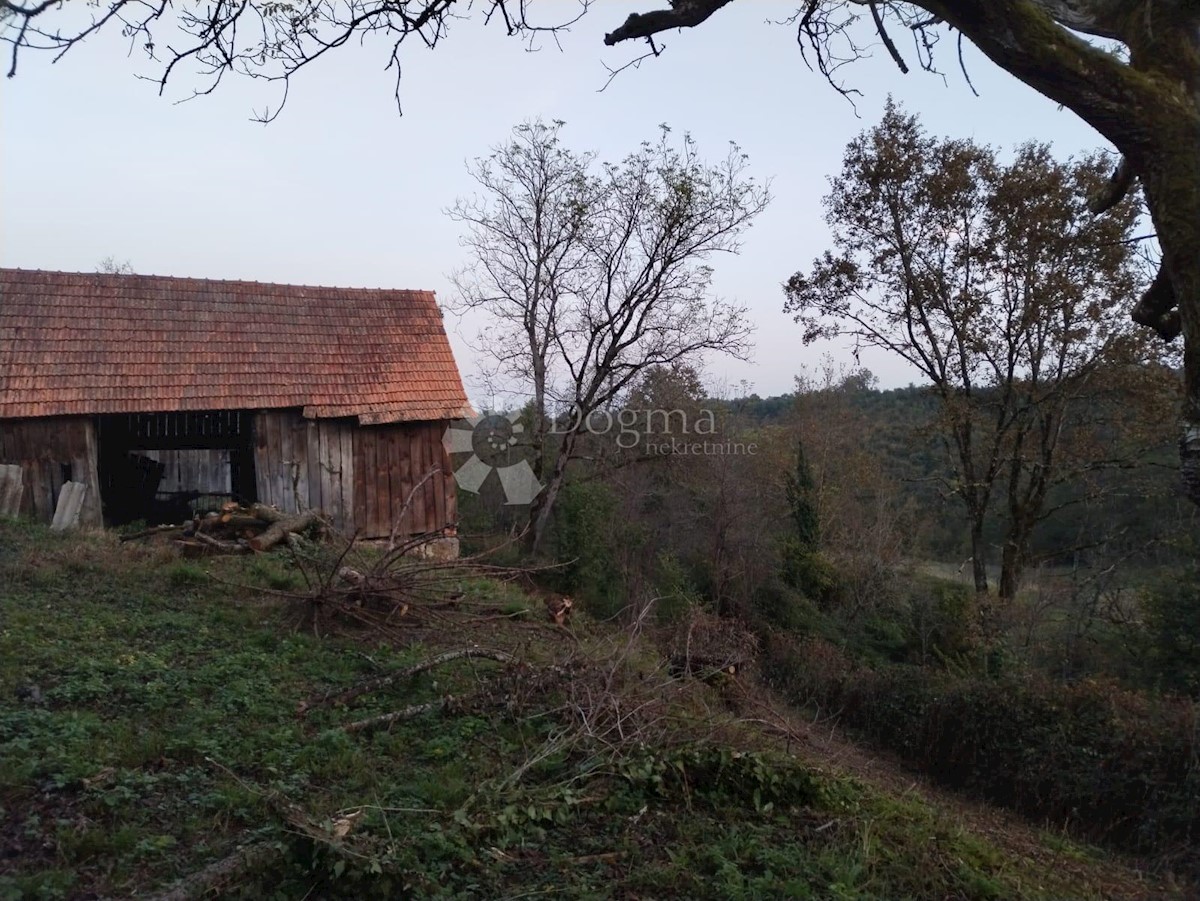 VINSKI VRH