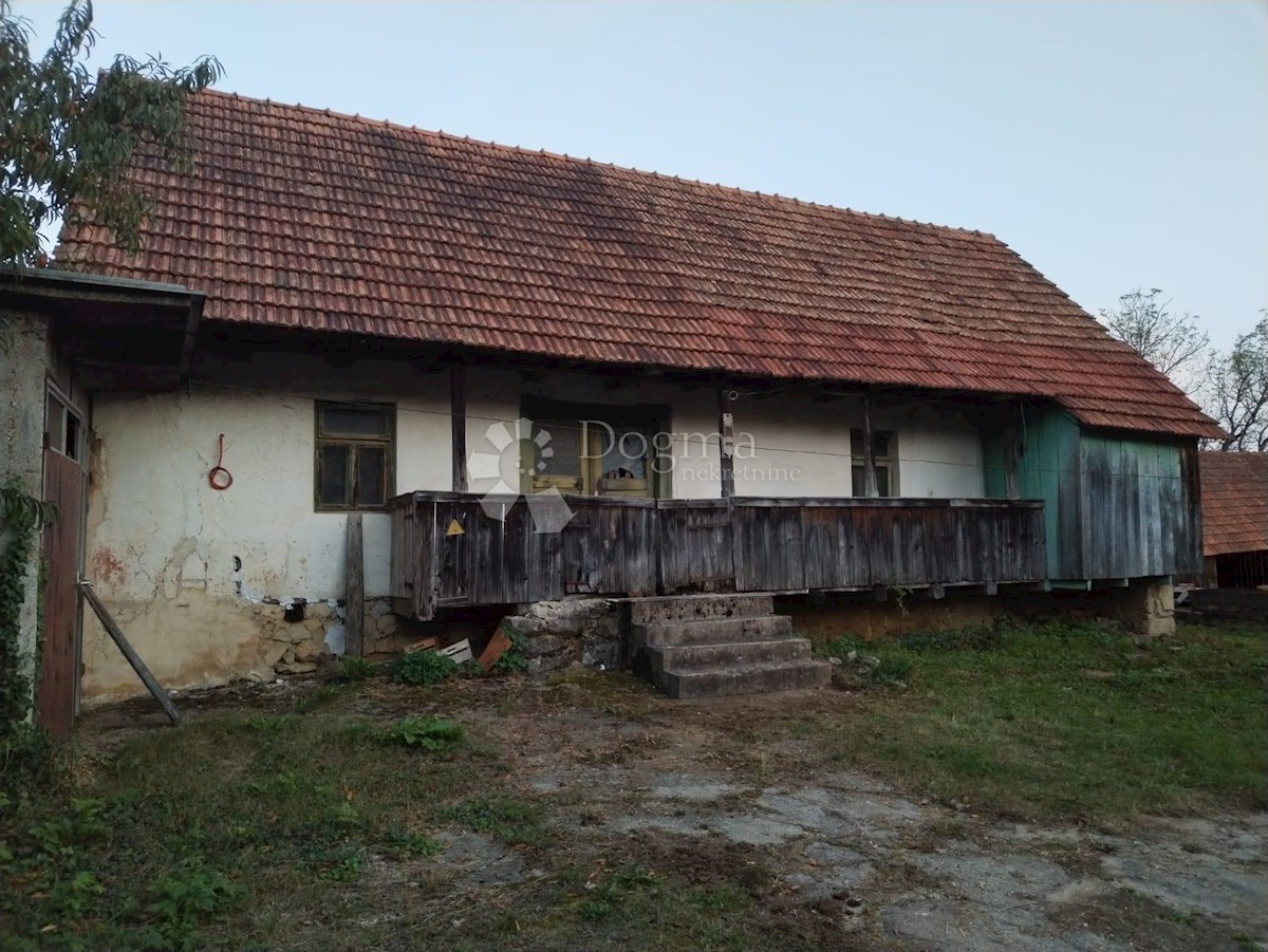 VINSKI VRH