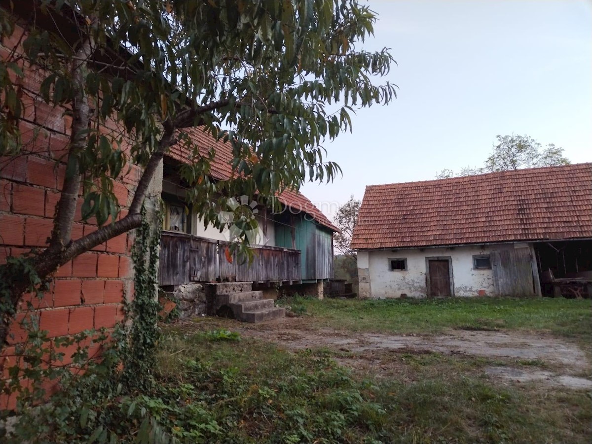 VINSKI VRH