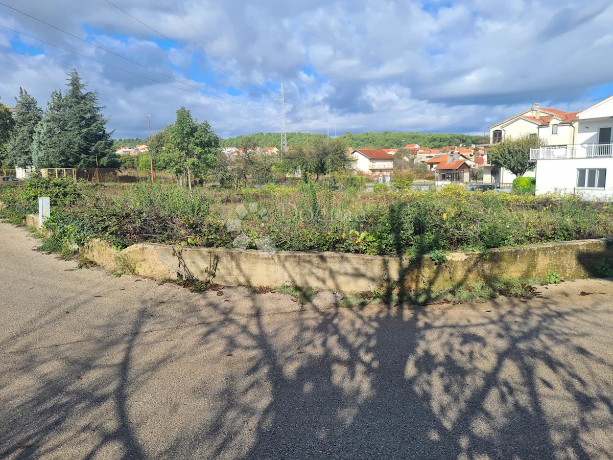 BILICE