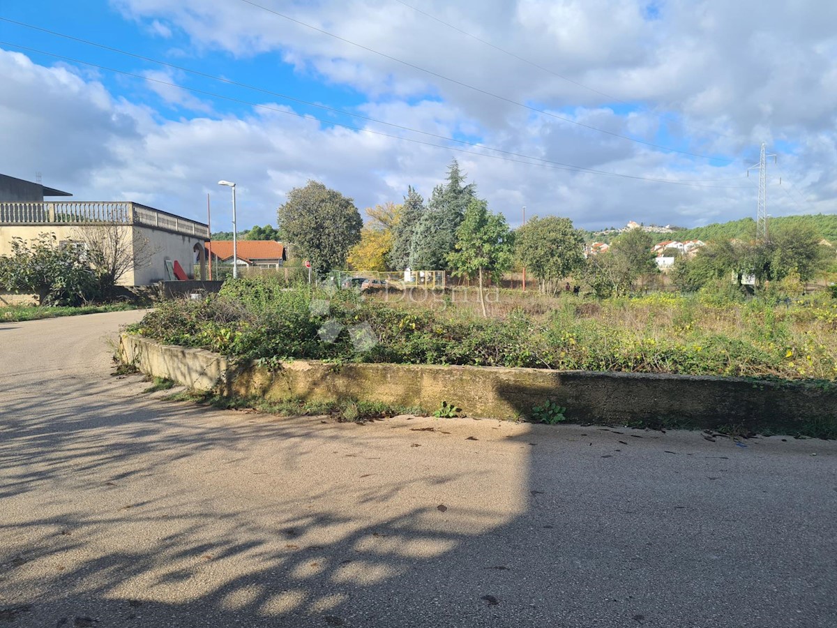 BILICE