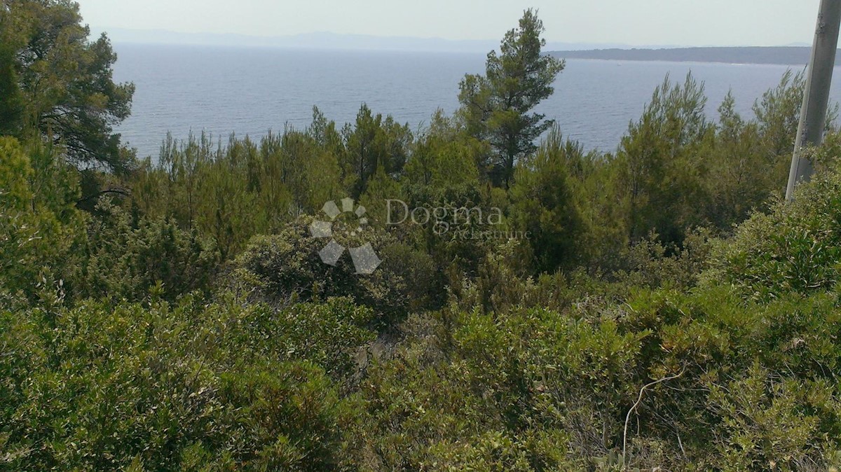 HVAR