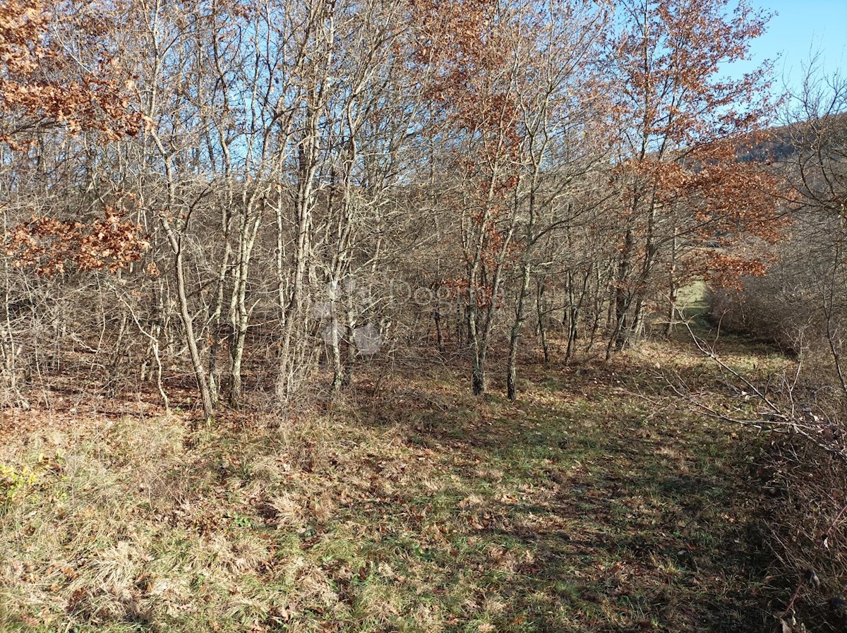 KANFANAR