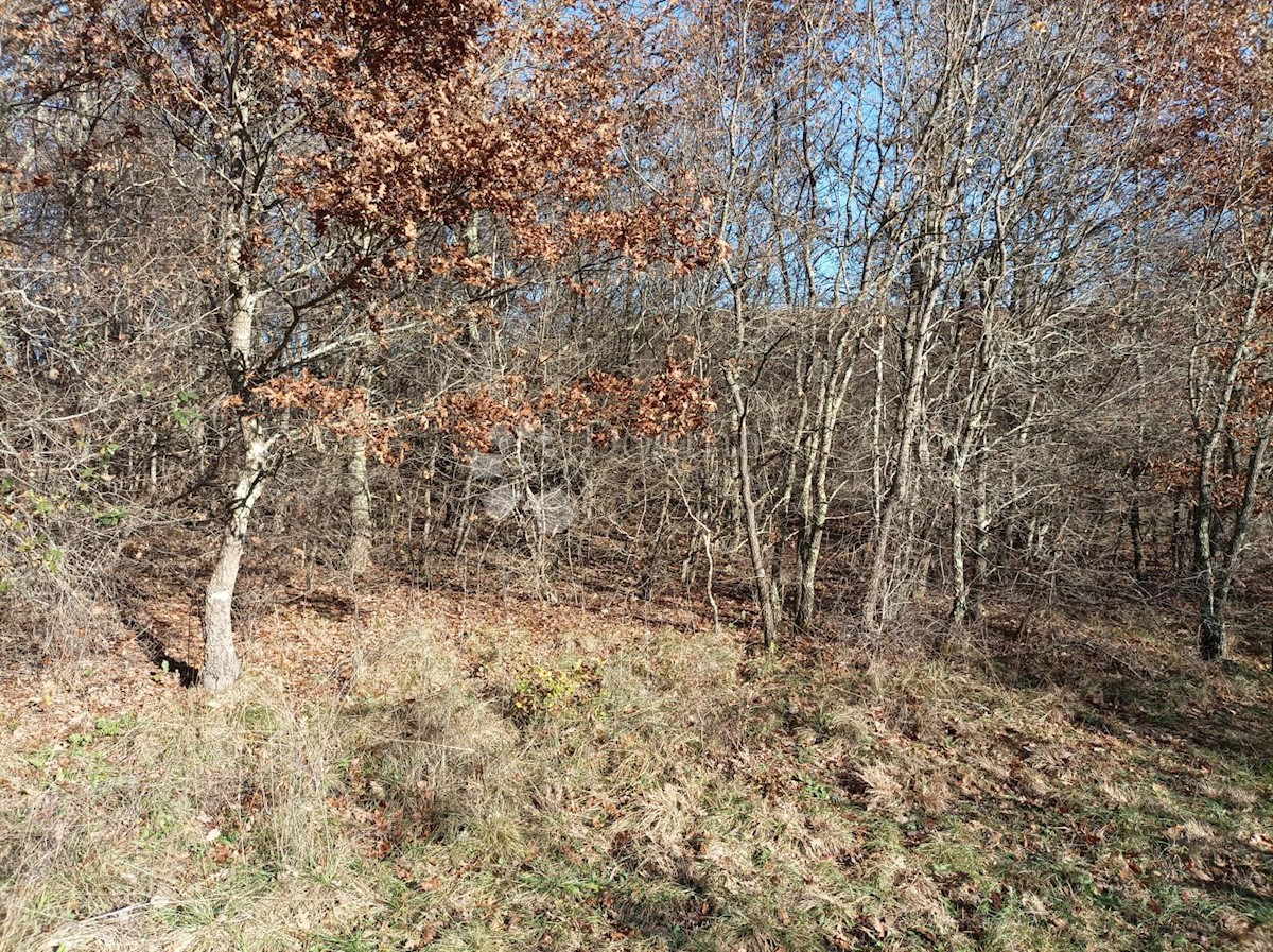 KANFANAR