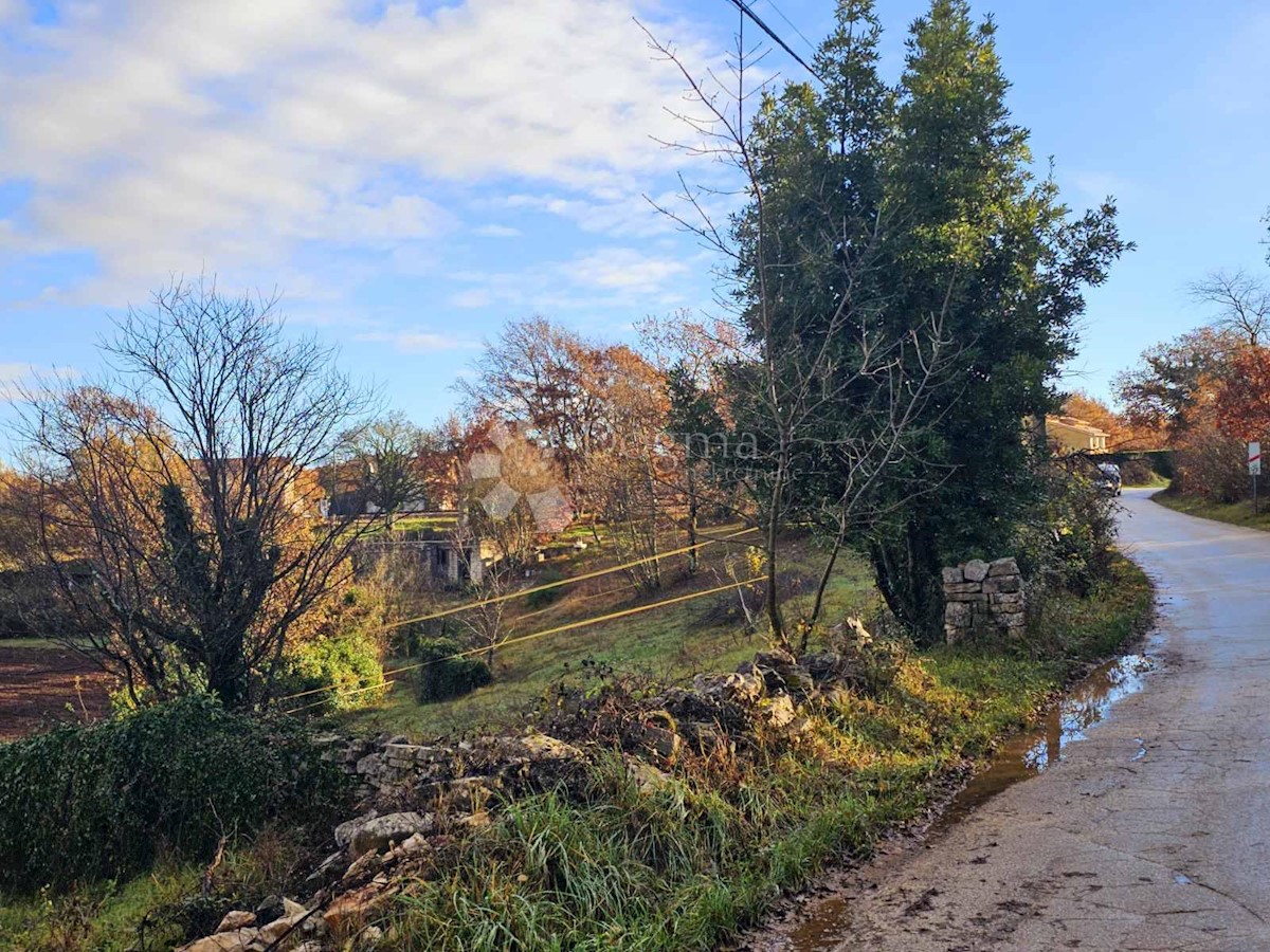 JURŠIĆI