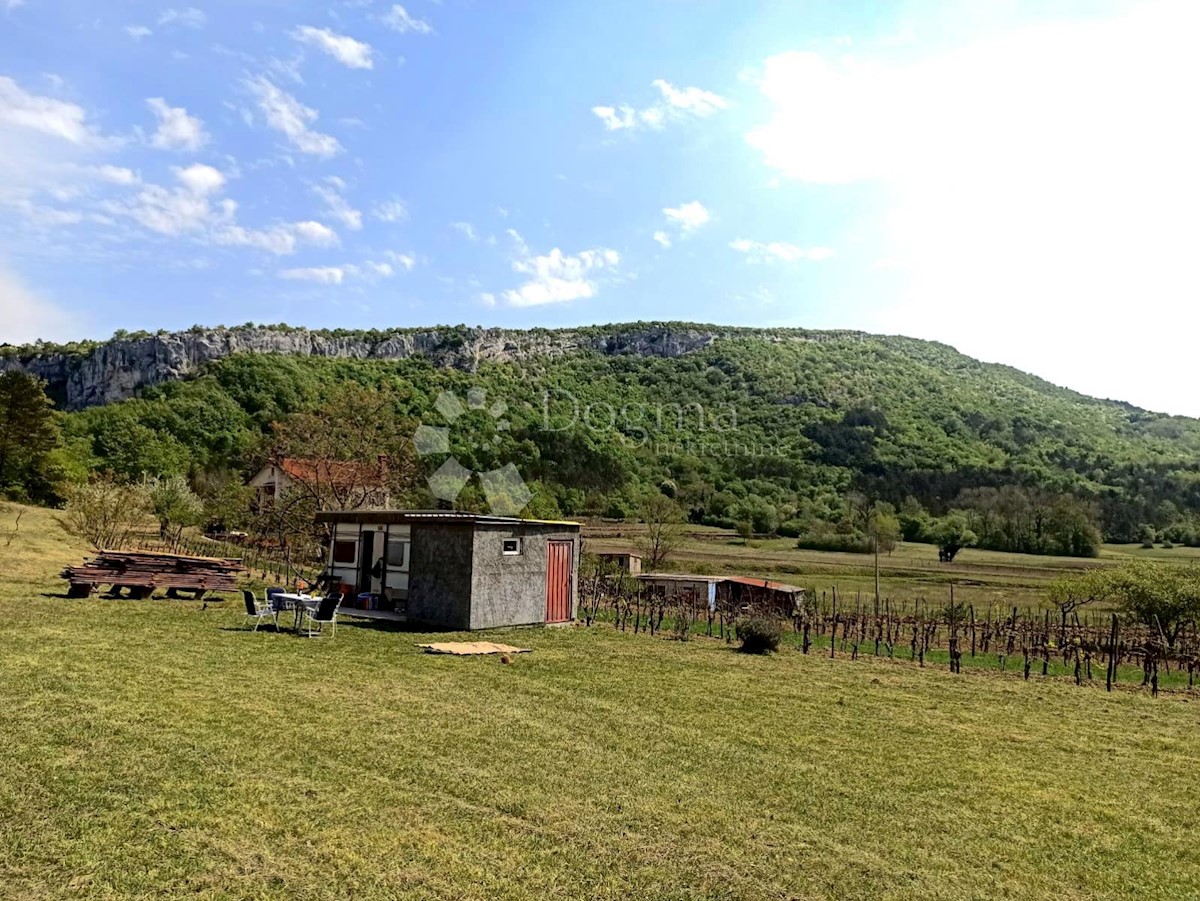 BUZET