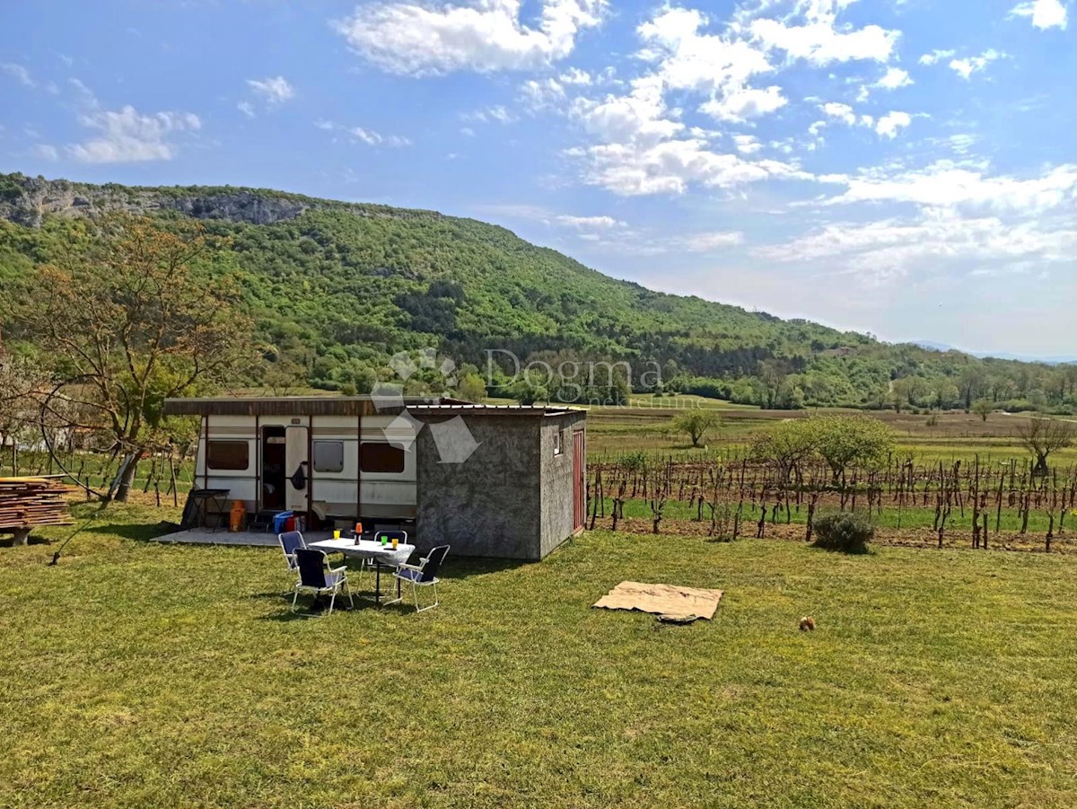 BUZET