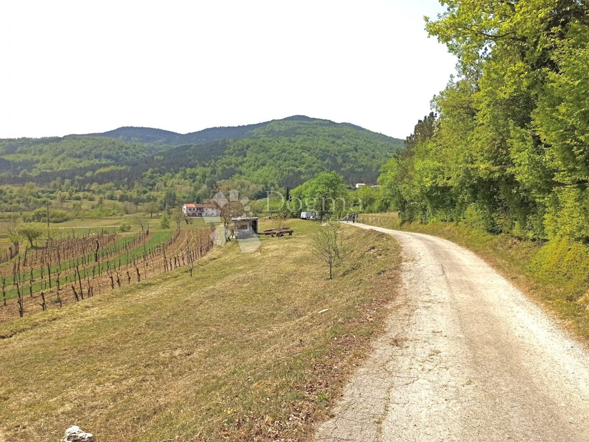 BUZET