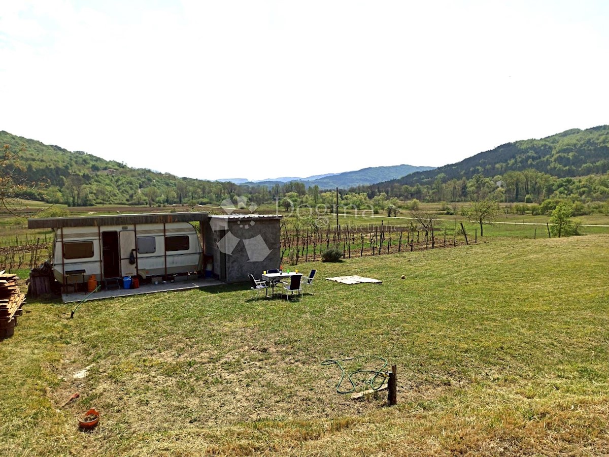 BUZET