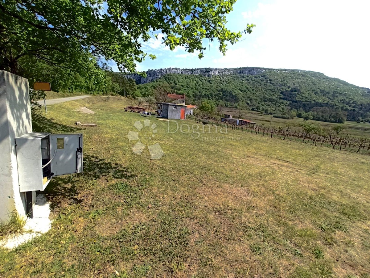 BUZET
