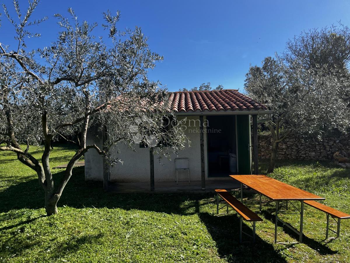 FAŽANA