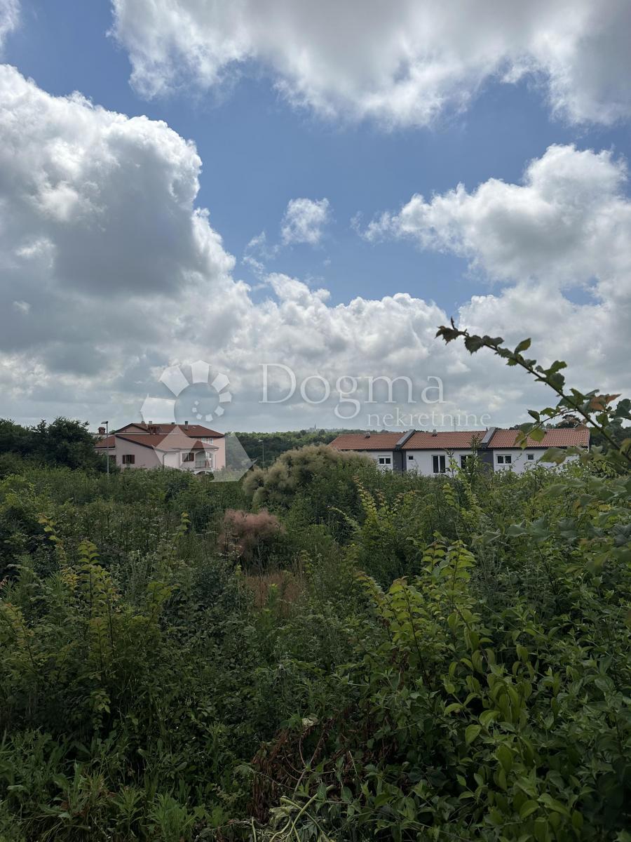 KALDANIJA