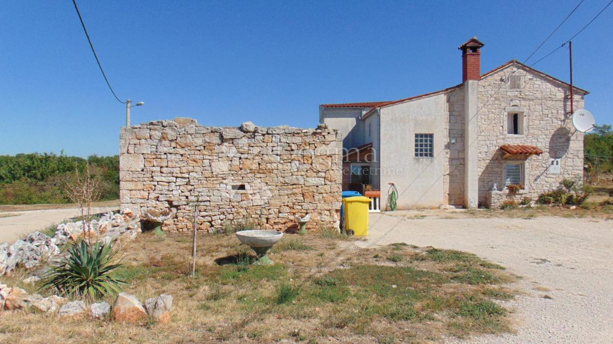 JAKIĆI GORINJI