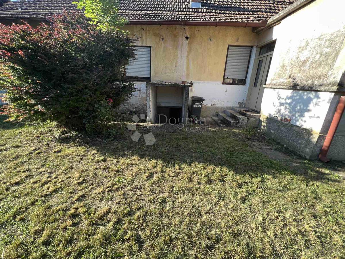 ČEHOVEC