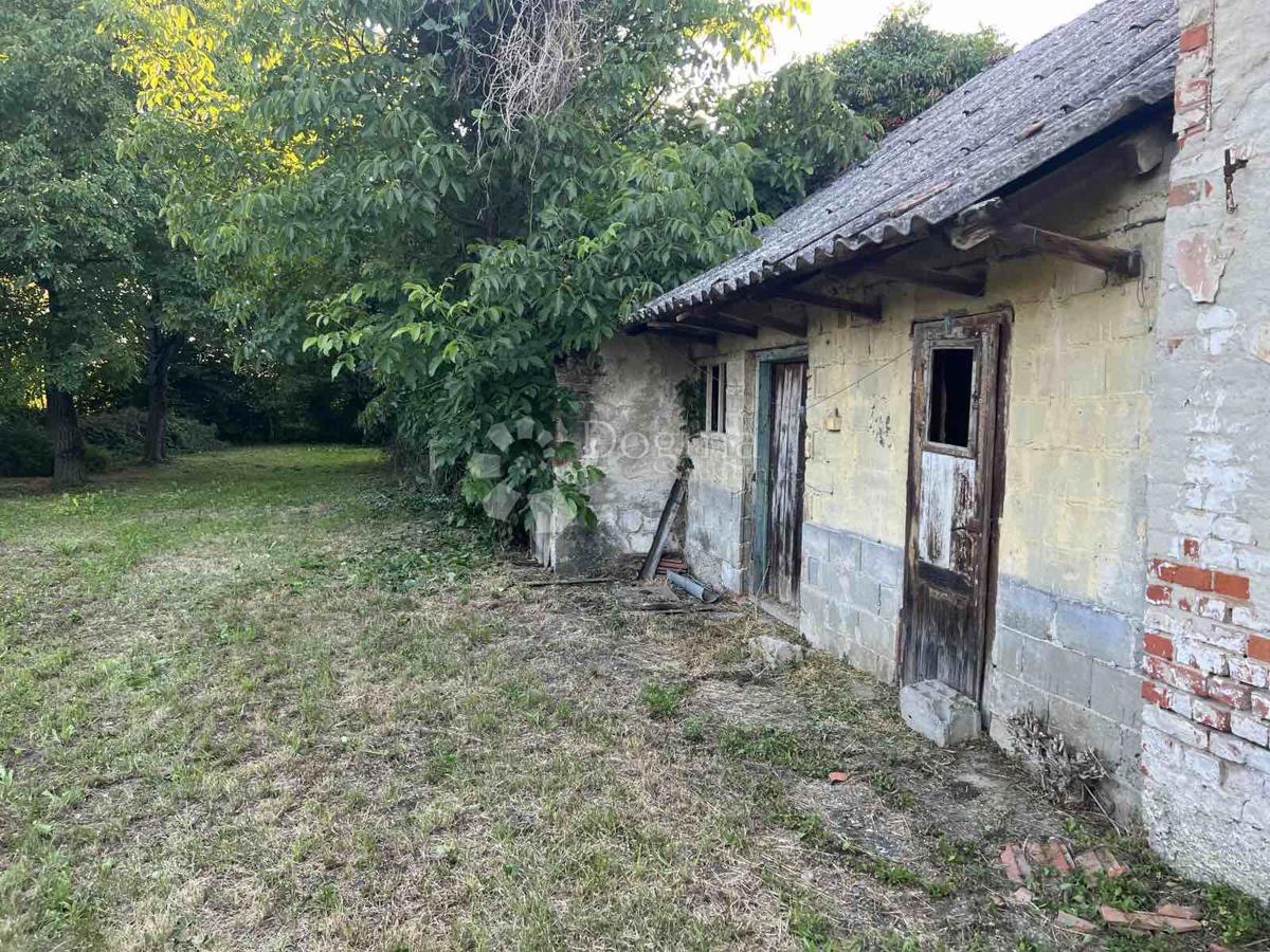 ČEHOVEC