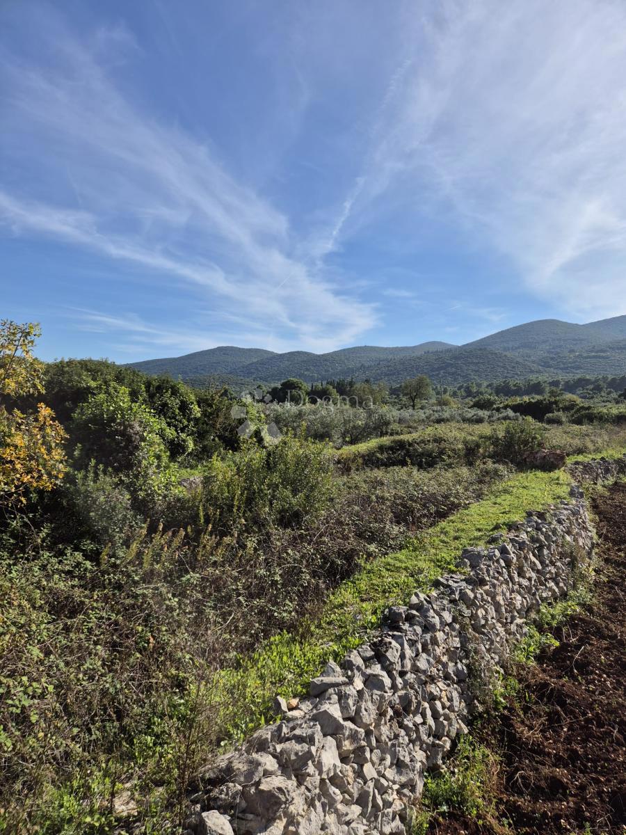 RAČIŠĆE