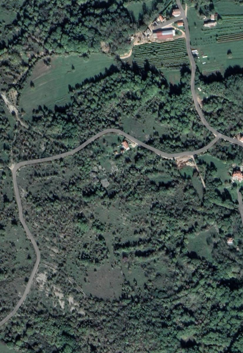 LAZARIĆI
