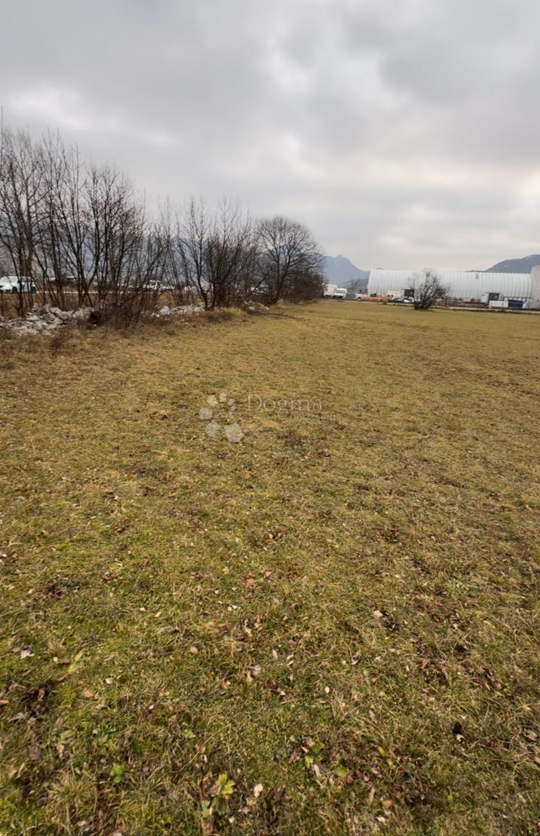 ČAVLE