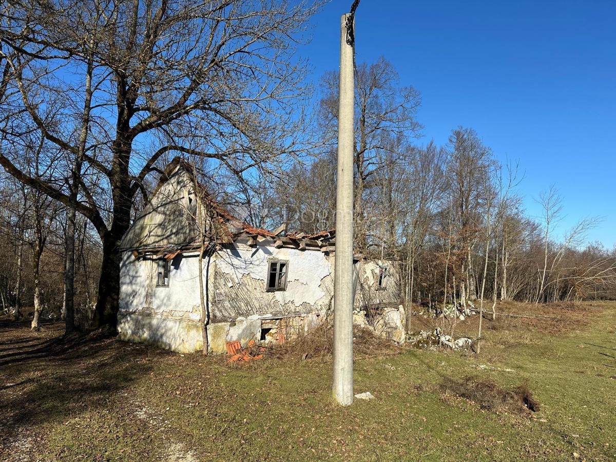 GOSPIĆ