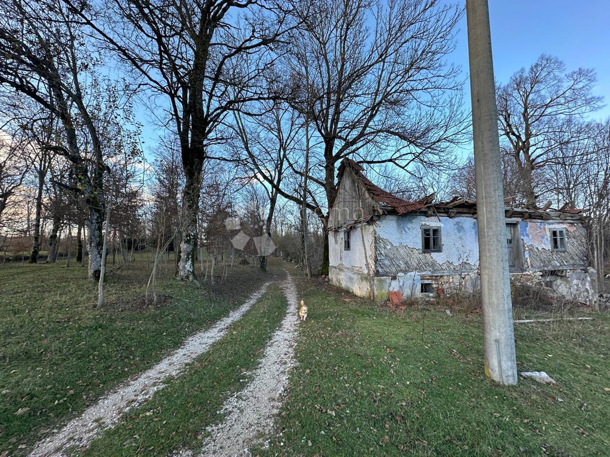 GOSPIĆ