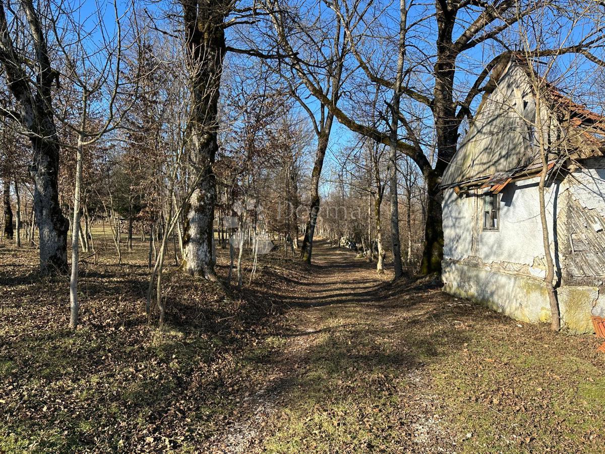 GOSPIĆ