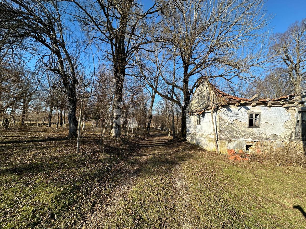 GOSPIĆ