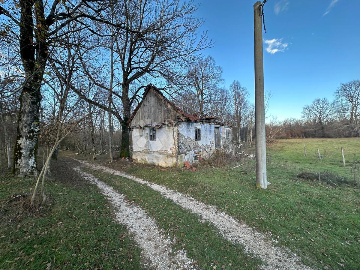 GOSPIĆ