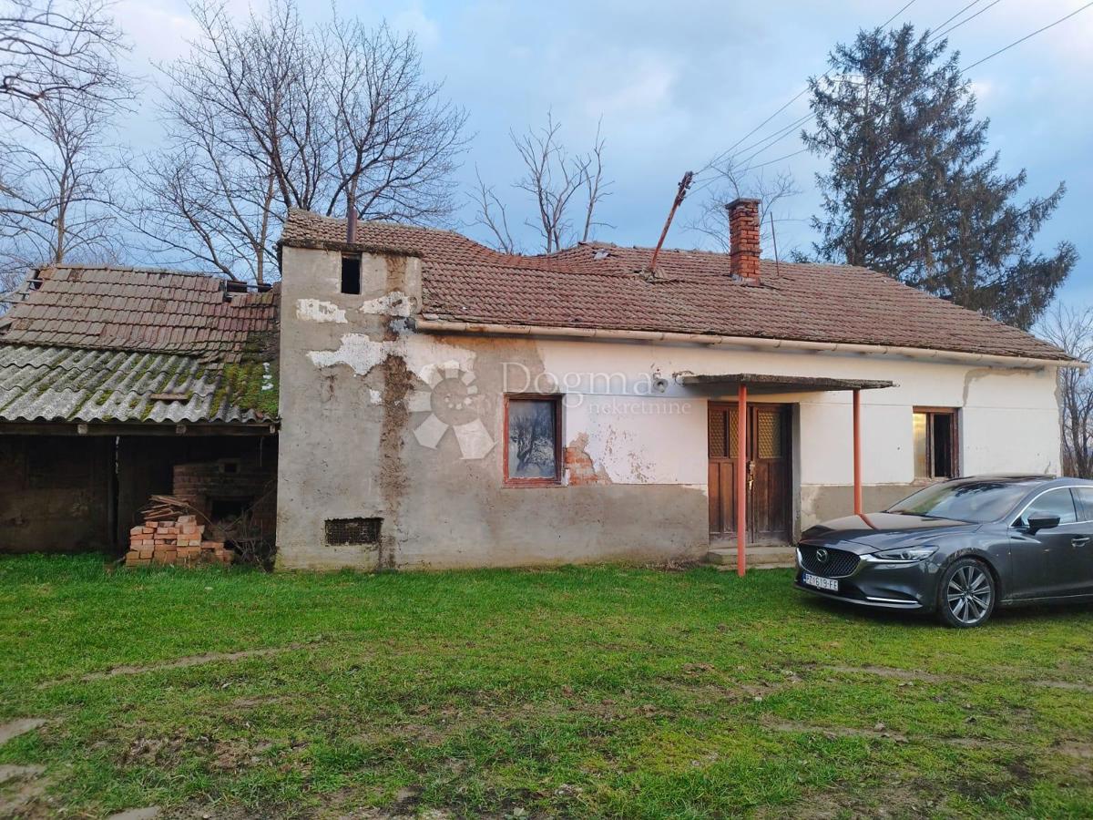 KUTJEVO