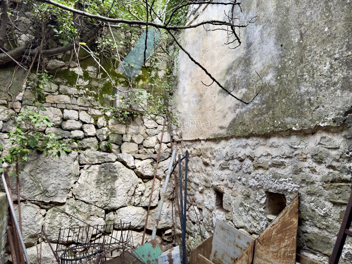 ŽEŽEVICA