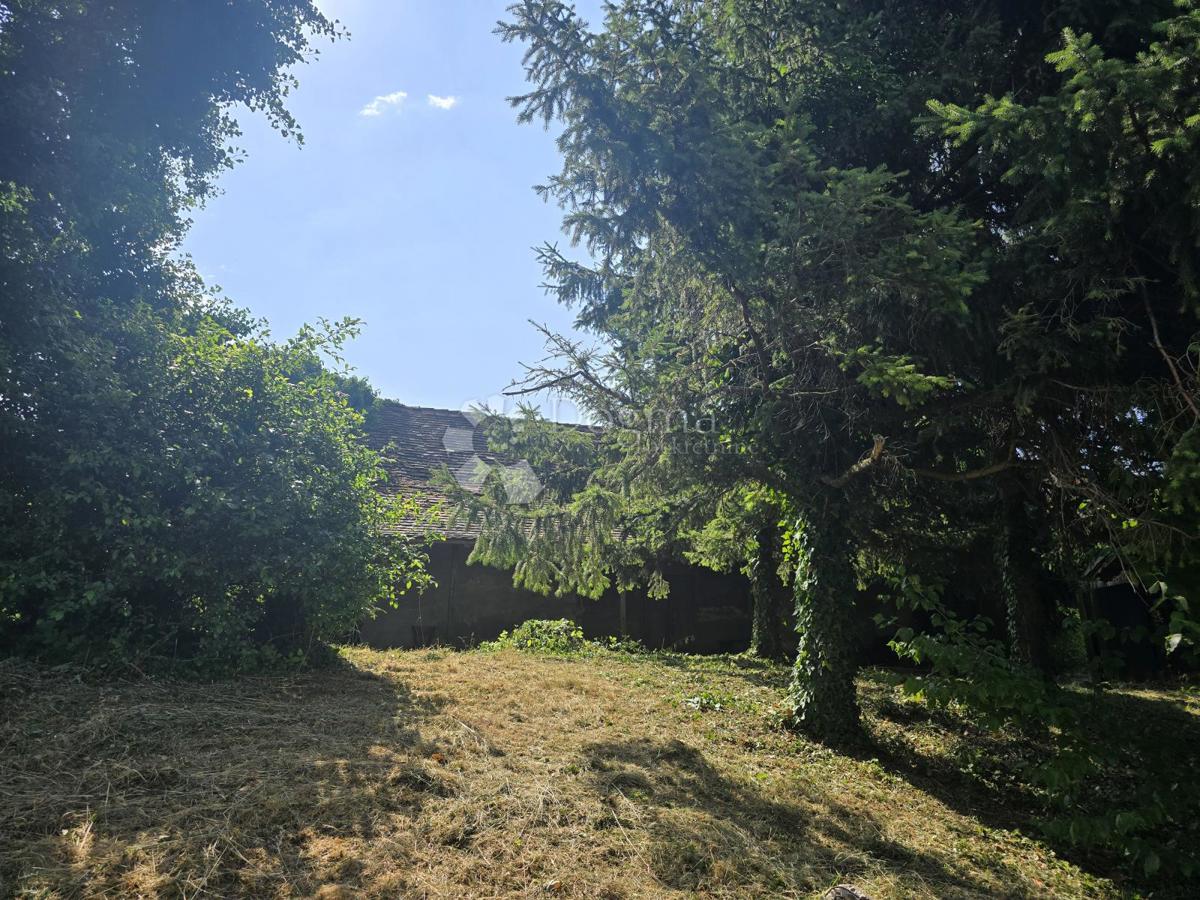 VARAŽDIN BREG