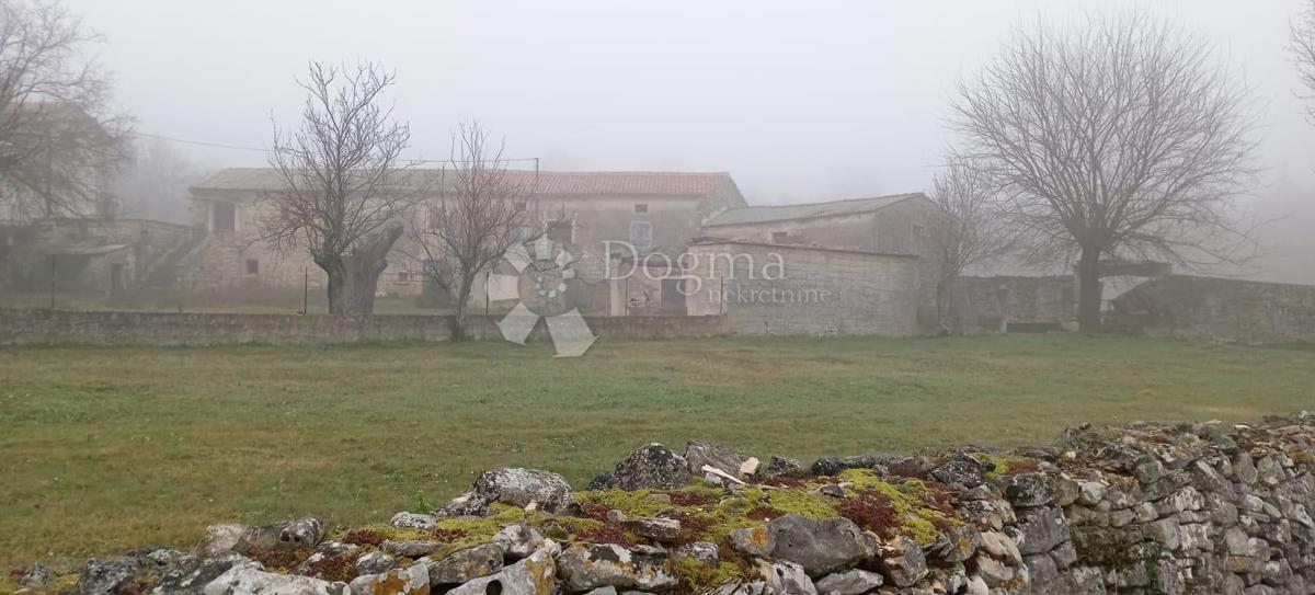 BREČEVIĆI