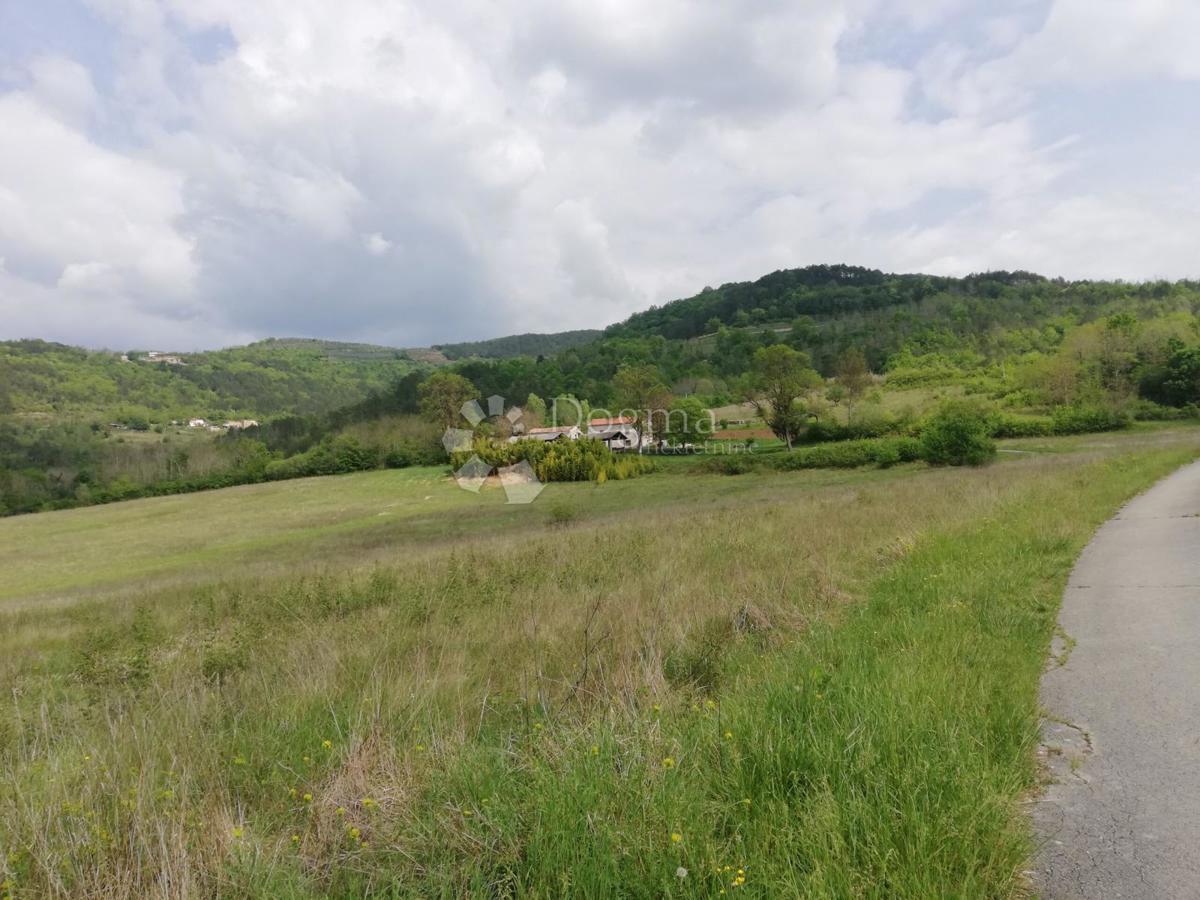 MOTOVUN