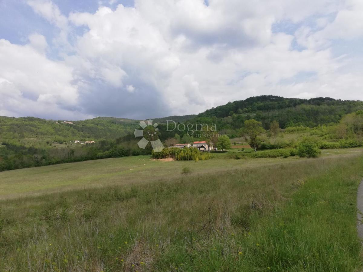 MOTOVUN